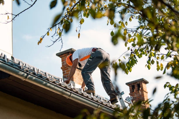 Best Commercial Roofing Services  in Montrose, MI