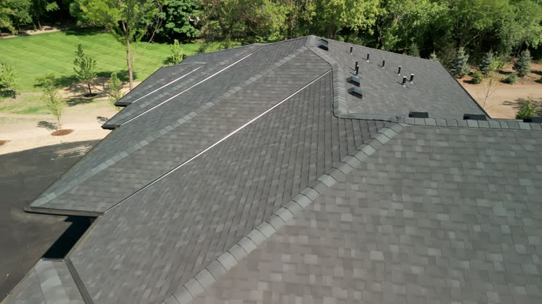 Best Roof Insulation Installation  in Montrose, MI