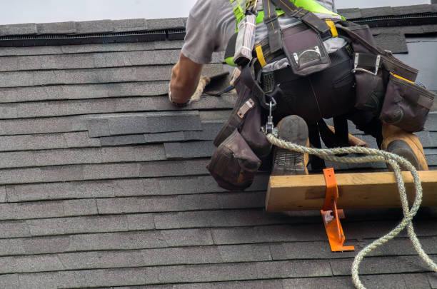 Best Chimney Flashing Repair  in Montrose, MI