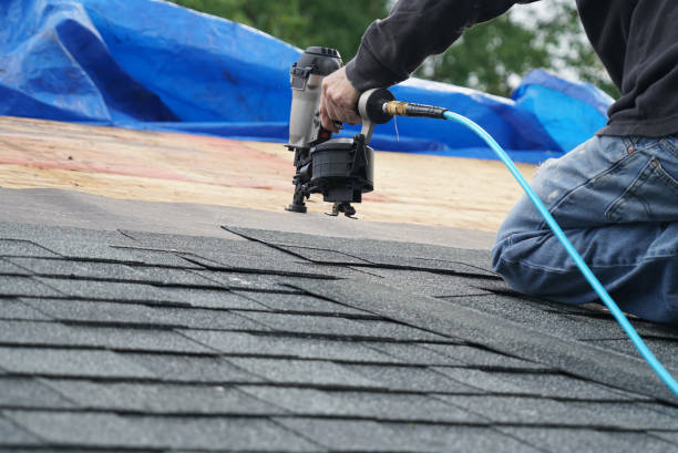 Best Roof Ventilation Installation  in Montrose, MI